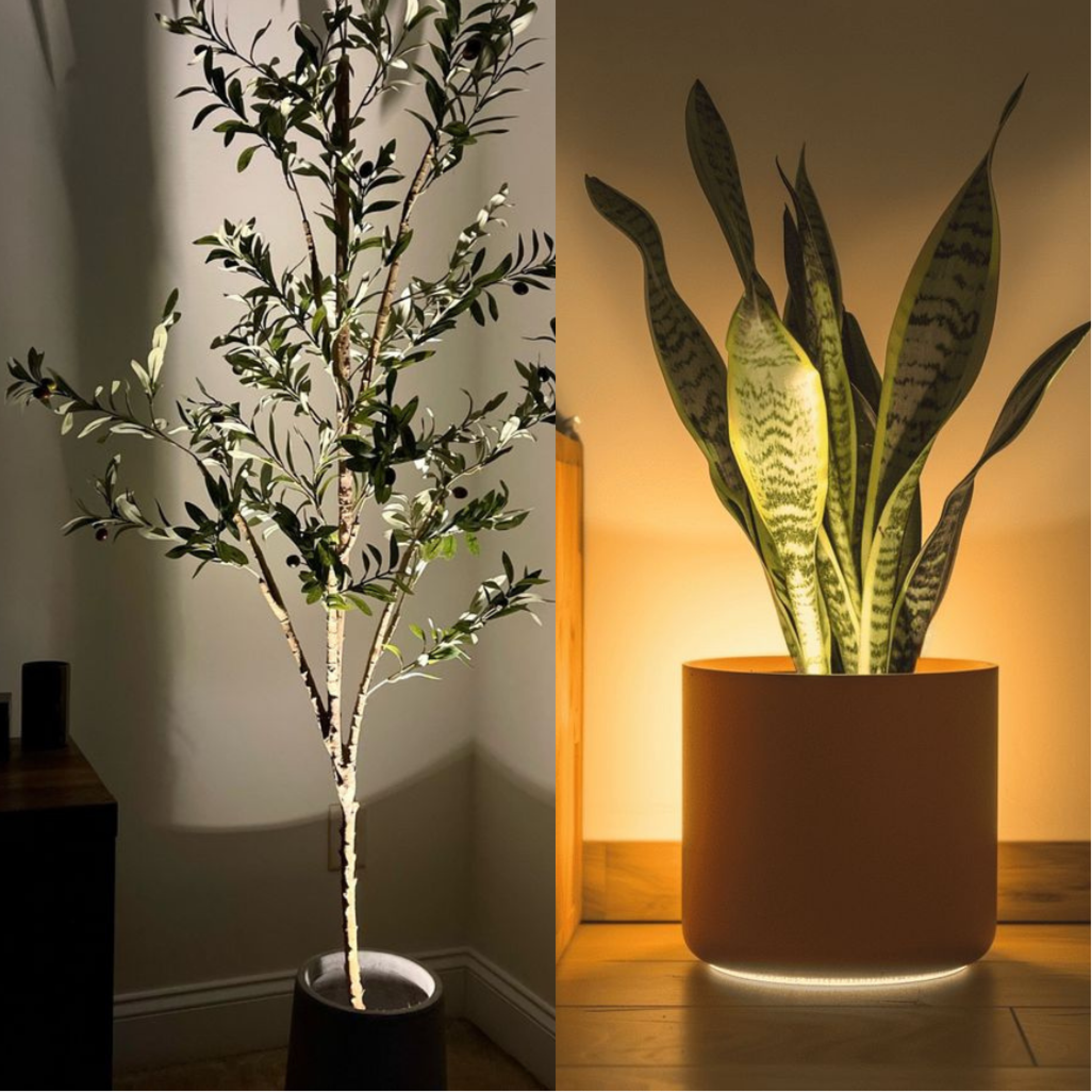 AMBIENTIFY Flora Wireless LED Plant Spotlight – 13 RGB Colors Dimmable Rechargeable Indoor Accent Light for Plants