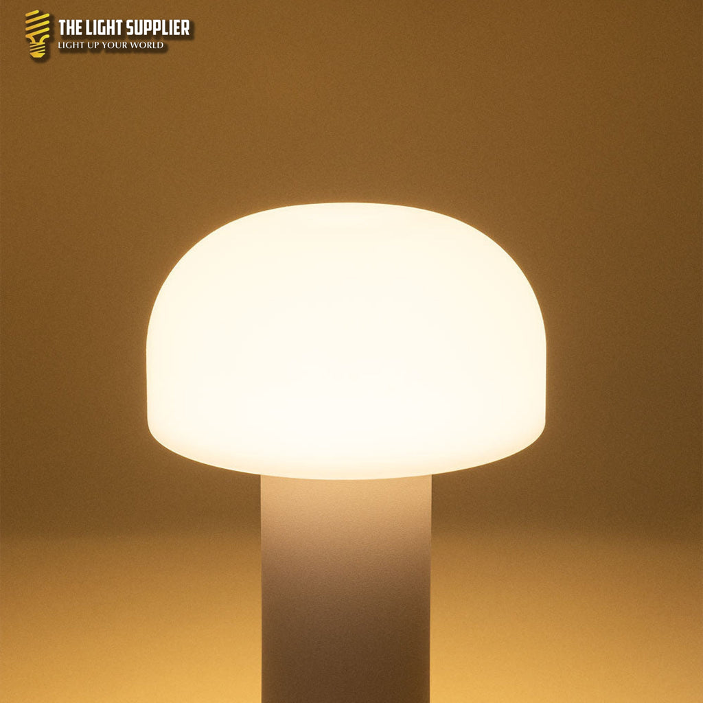 AMBIENTIFY Jadzia Cordless LED Table Lamp – Rechargeable Aluminium Polyethylene Touch Dimmer USB-C Wireless Indoor